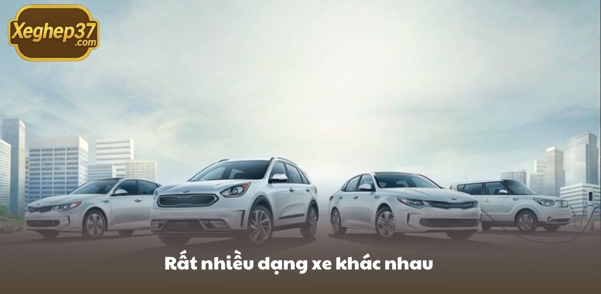 Rất nhiều dạng xe khác nhau 