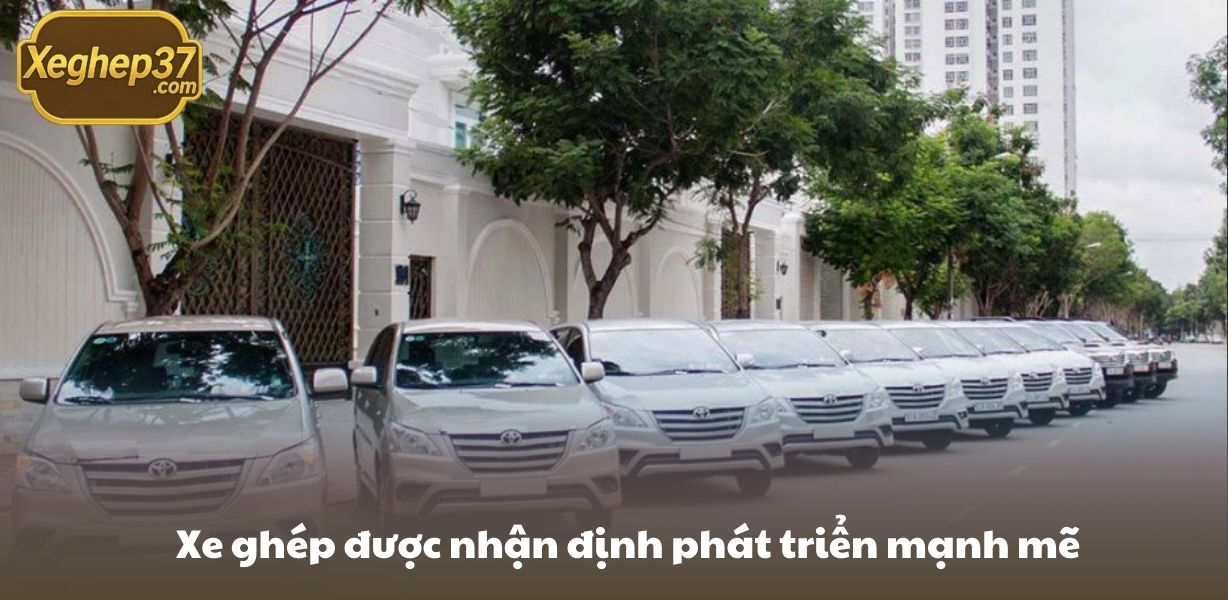 Xe ghép được nhận định phát triển mạnh mẽ